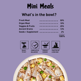 Mini Meals Fish Fiesta