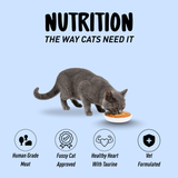 Meow Meal Tuna Carrot & Pumpkin