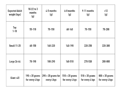 Grid Image